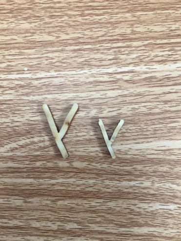 LETTERE Y
