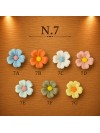 Fiore 7