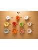Fiore 8