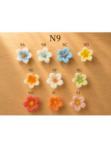 Fiore 9